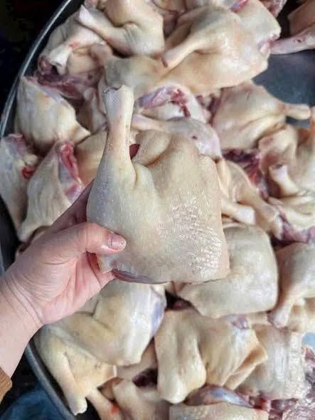 Đùi vịt góc tư