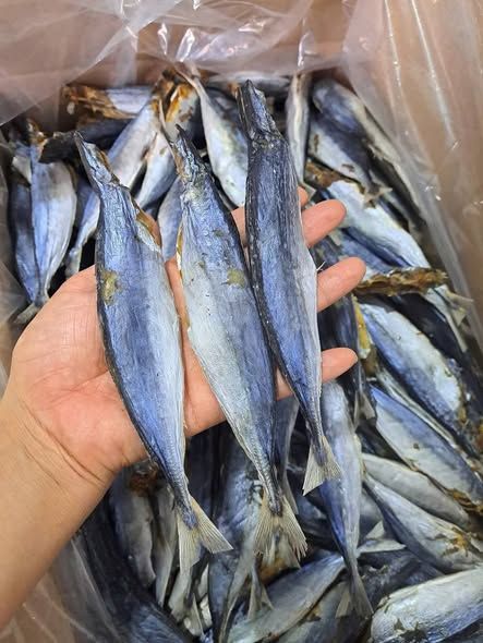 Cá nục khô bỏ đầu