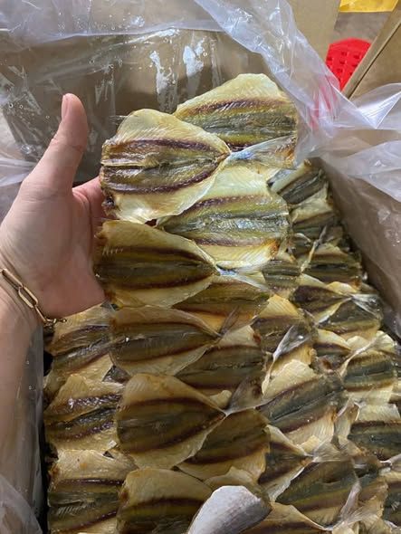 Cá chỉ vàng 3 nắng