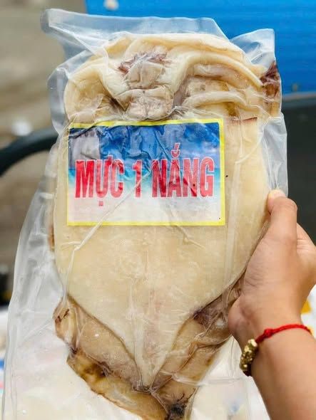 Mực một nắng con lớn