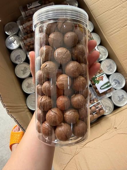Hạt macca Đắk Lắk size bi