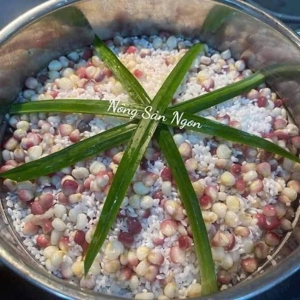 Bắp bung Điện Biên