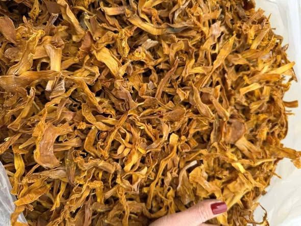 Măng le rừng KBang sợi lớn