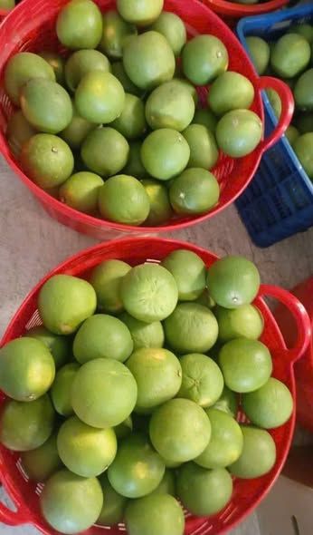 Bưởi da xanh Bến Tre (10kg)