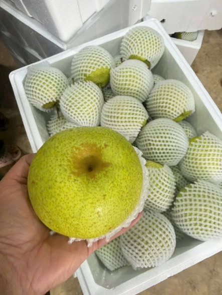 Lê xanh đường Tây Bắc