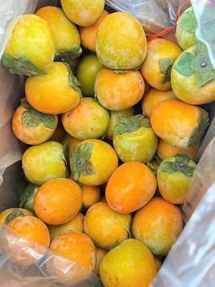 Hồng trứng