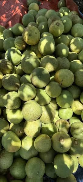 Bưởi đỏ Huế (10kg)