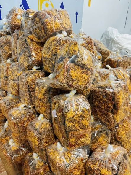 Cơm cháy bể chà bông gạo lứt