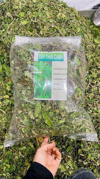Dây thìa canh khô