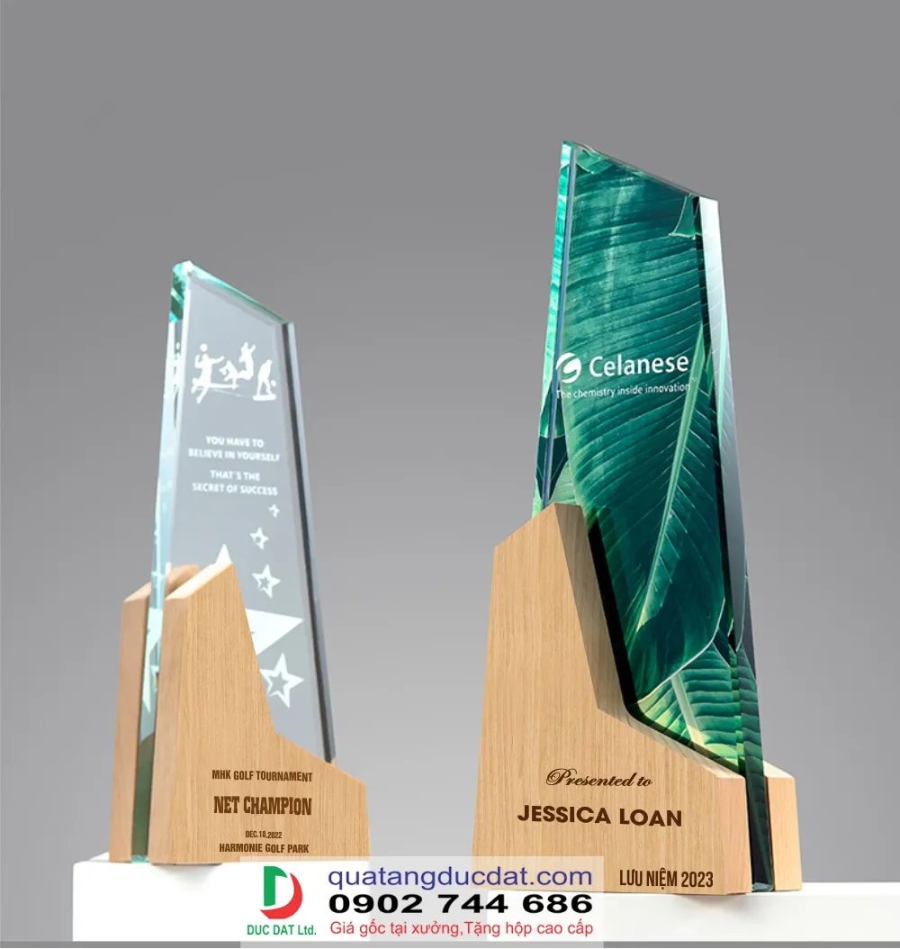 Kỷ niệm chương đế gỗ 12