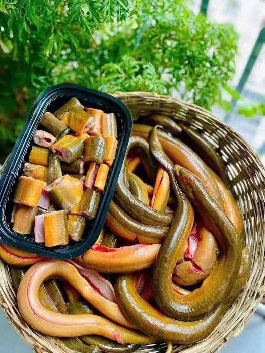 Lươn đồng em làm sạch